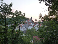 Wallfahrer aus Meschede besuchten die Fatima Grotte (Foto: Karl-Franz Thiede)